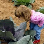 Cabbage Patch Fantasy Land – Griswold, Iowa – Part One