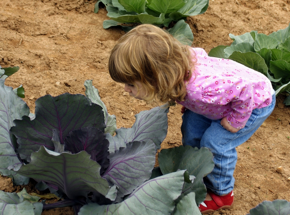 Cabbage Patch Fantasy Land – Griswold, Iowa – Part One