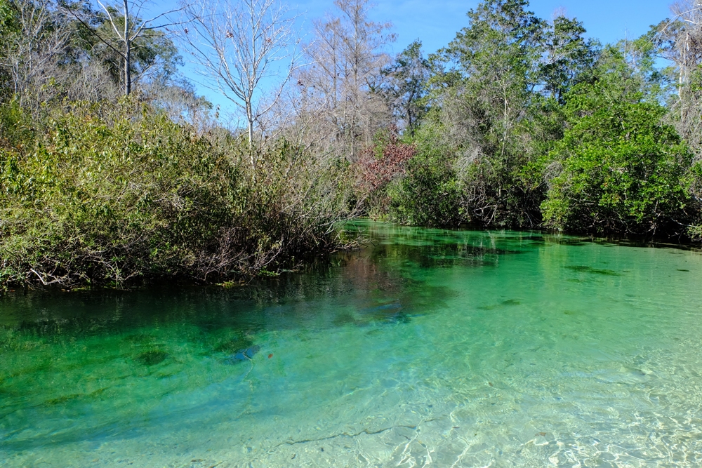 Weeki Wachee Springs